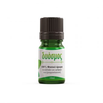 Δύοσμος Flavor 10ml