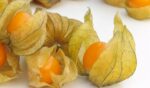 Golden Berries(Physalis) - Image 3