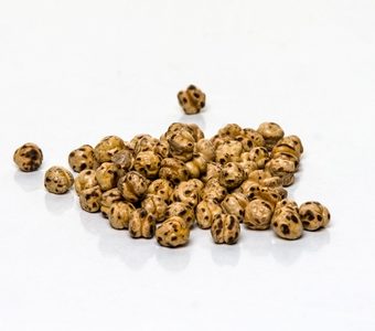 Στραγάλι Τσιφτέ